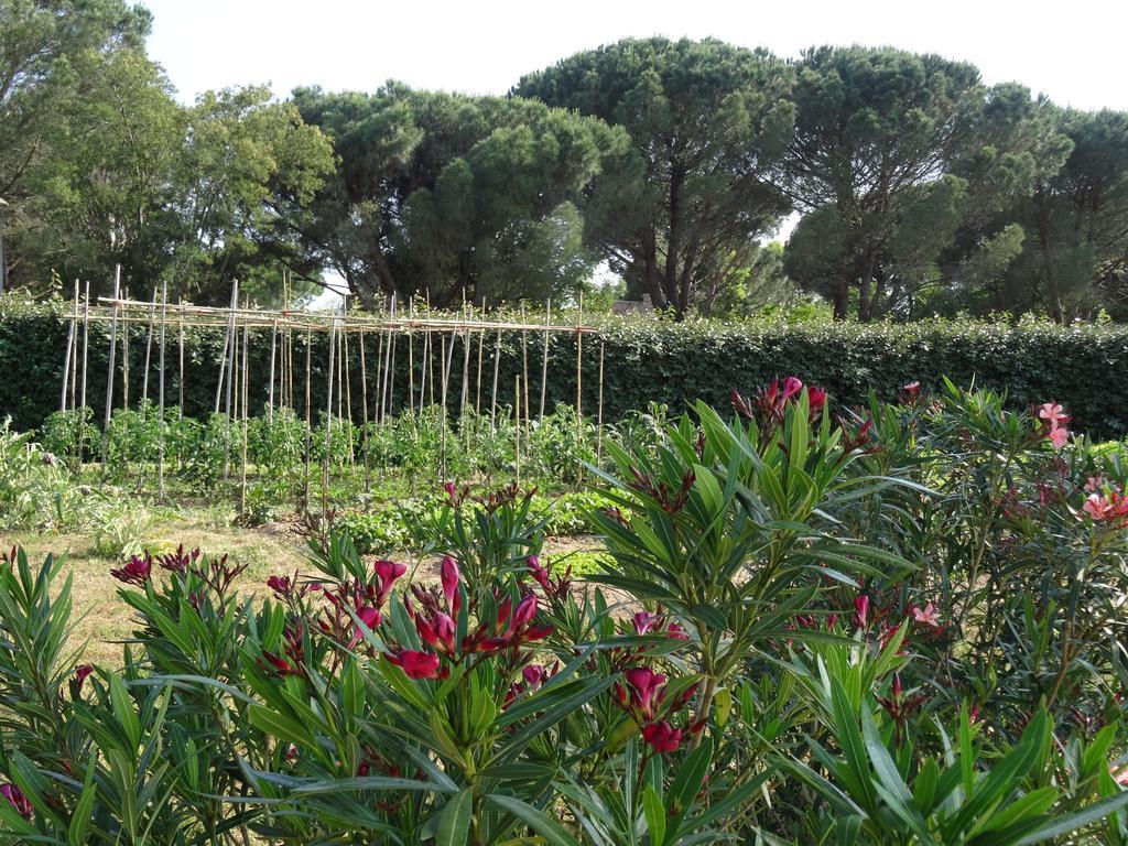 Chambres d'hôtes Villa Alizé Grimaud Exterior foto